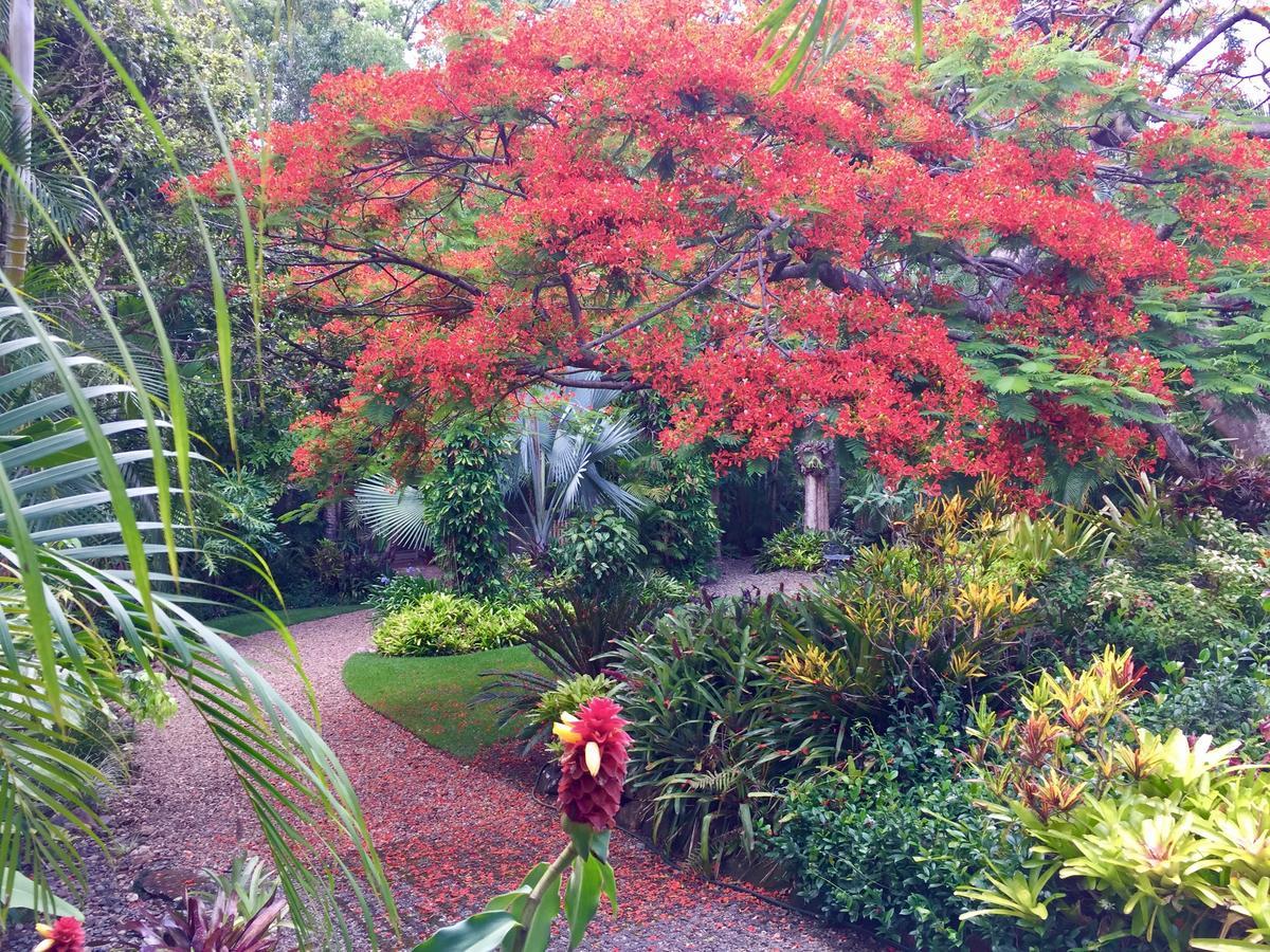 Bed and Breakfast Eden Rest Cooroy Exterior foto